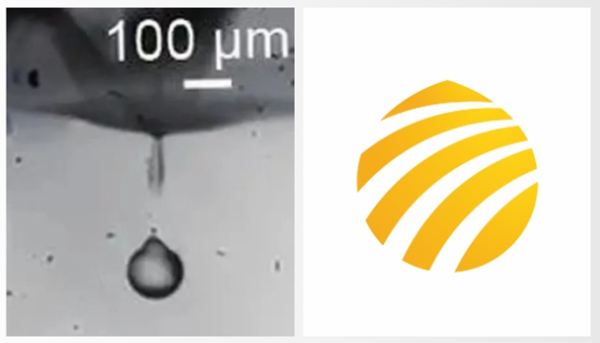 官宣 | 九州ku酷游官方LOGO全「新」亮相！