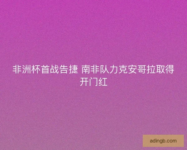 非洲杯首战告捷 南非队力克安哥拉取得开门红